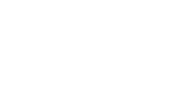 Logo of swiss kitesurf brand gin kiteboarding